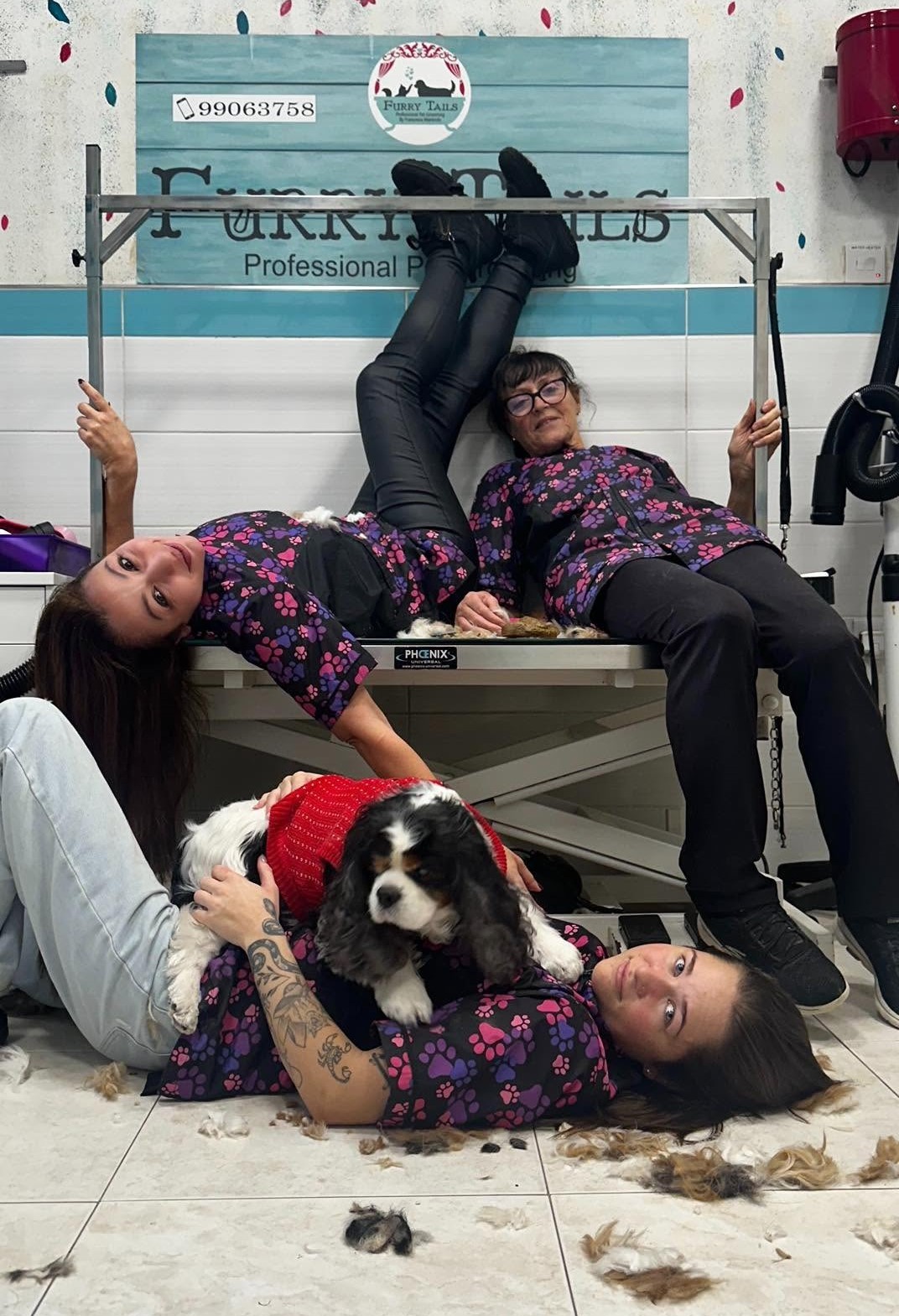 The Furry Tails team having fun in the salon with a happy Cavalier King Charles Spaniel